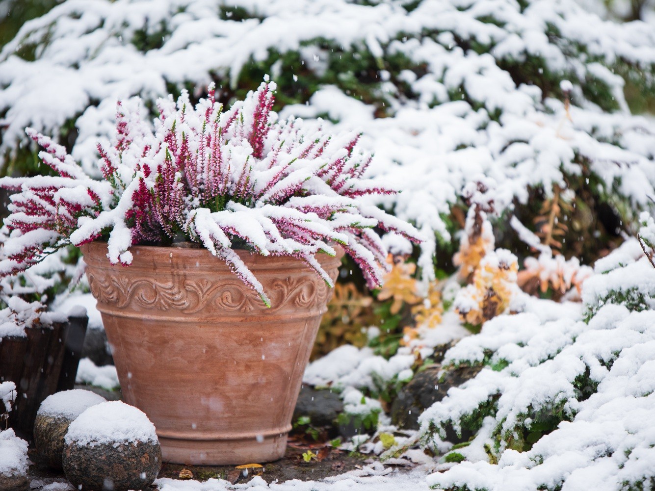 adv Ulrich rt Zapfen 107